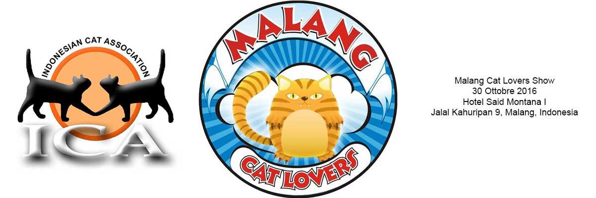 Malang Cat Lovers Show