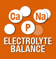 Electrolyte balance for the support of renal function